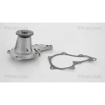 TRISCAN 8600 41854 - Pompe à eau