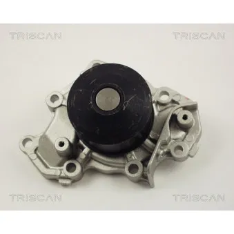 TRISCAN 8600 42013 - Pompe à eau