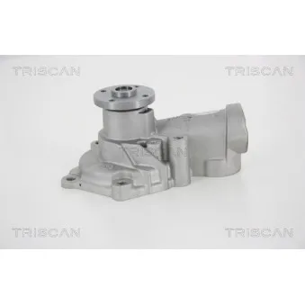 TRISCAN 8600 42019 - Pompe à eau