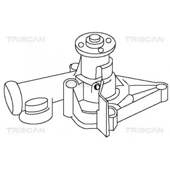 TRISCAN 8600 42995 - Pompe à eau