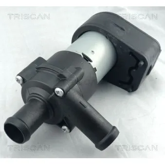TRISCAN 8600 80020 - Pompe à eau