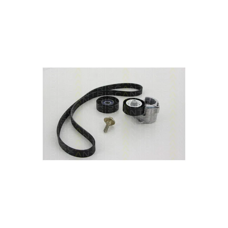 Jeu de courroies trapézoïdales à nervures TRISCAN 8642 28017 - Visuel 1