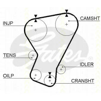 Courroie de distribution TRISCAN [8645 5071]