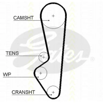 Courroie de distribution TRISCAN [8645 5094xs]