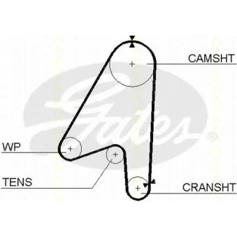 Courroie de distribution TRISCAN [8645 5239]