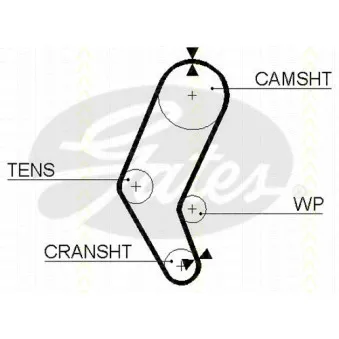 Courroie de distribution TRISCAN [8645 5272]