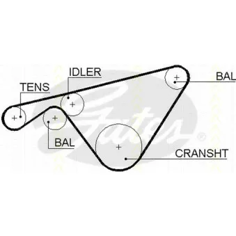 TRISCAN 8645 5463xs - Courroie de distribution