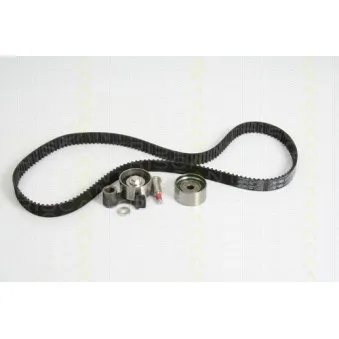 Kit de distribution TRISCAN [8647 13006]