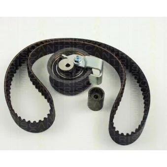 TRISCAN 8647 29030 - Kit de distribution