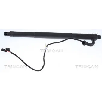 TRISCAN 8710 11301 - Vérin de hayon, de coffre