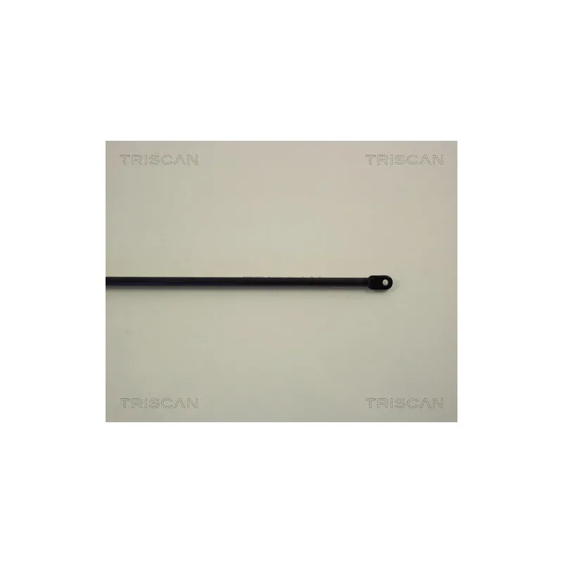 Vérin de hayon, de coffre TRISCAN 8710 1201 - Visuel 2