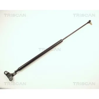 TRISCAN 8710 13201 - Vérin de hayon, de coffre