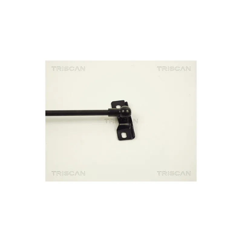 Vérin de hayon, de coffre TRISCAN 8710 13209 - Visuel 2