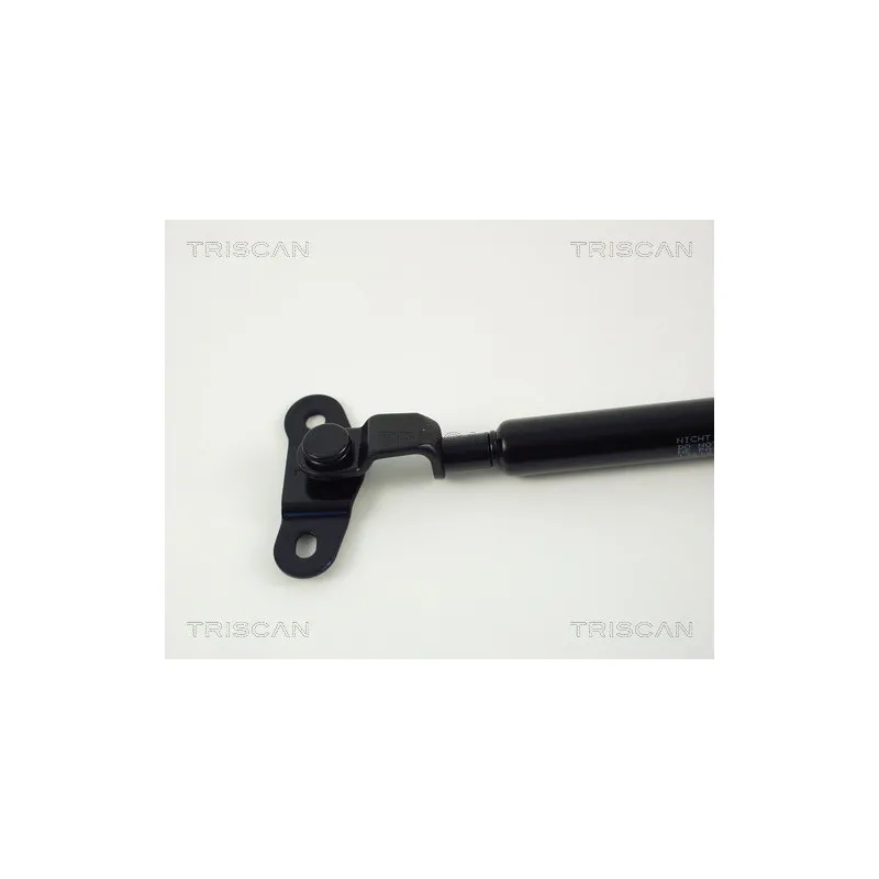 Vérin de hayon, de coffre TRISCAN 8710 13210 - Visuel 1
