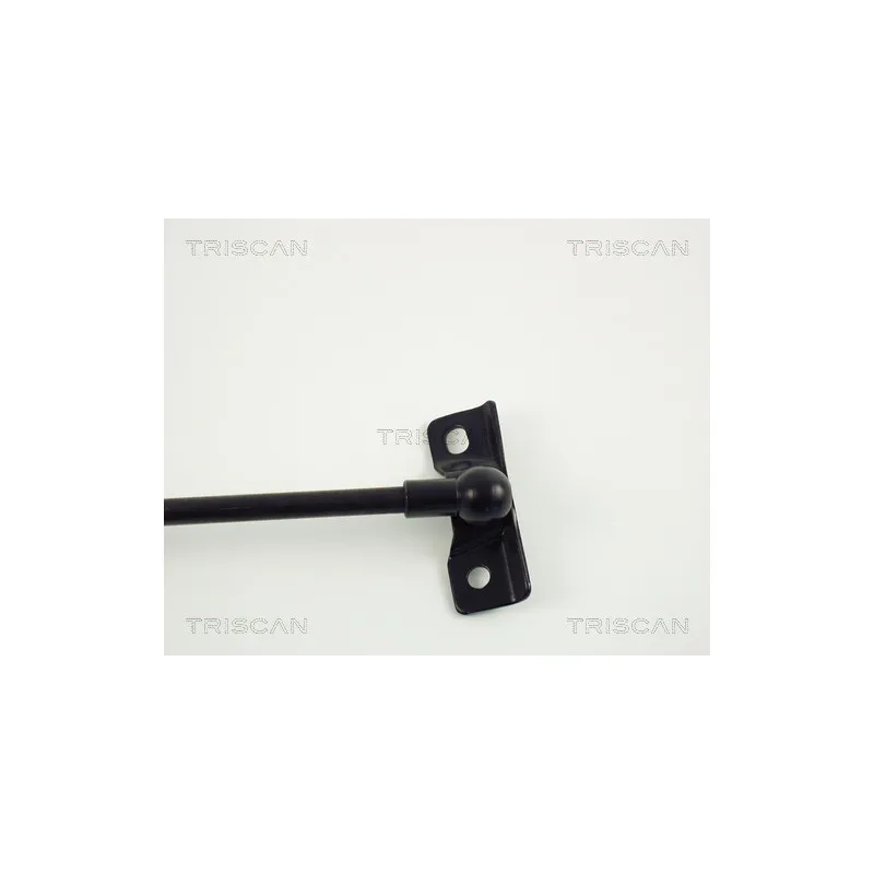 Vérin de hayon, de coffre TRISCAN 8710 13210 - Visuel 2