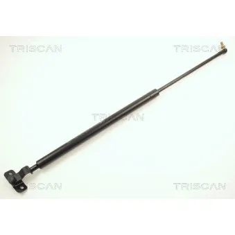 Vérin de hayon, de coffre TRISCAN [8710 13211]