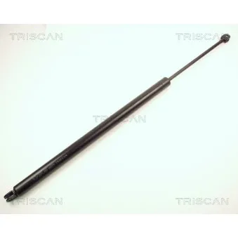 TRISCAN 8710 13229 - Vérin de hayon, de coffre
