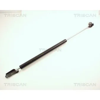 TRISCAN 8710 13238 - Vérin de hayon, de coffre