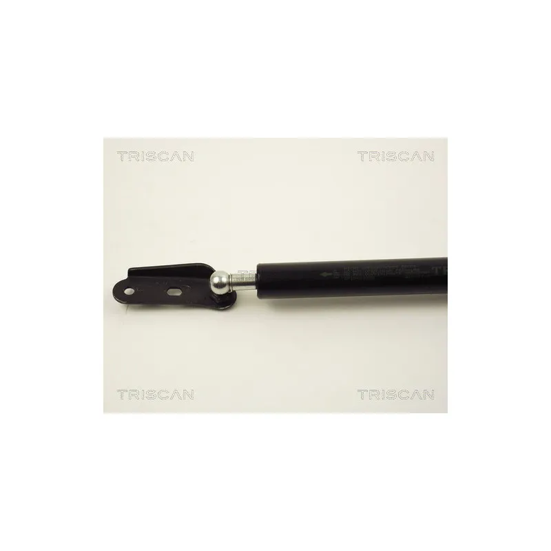 Vérin de hayon, de coffre TRISCAN 8710 13238 - Visuel 1