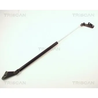 TRISCAN 8710 14217 - Vérin de hayon, de coffre
