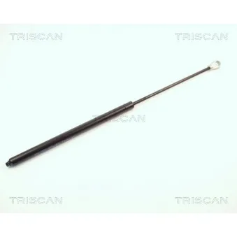TRISCAN 8710 1615 - Vérin de hayon, de coffre