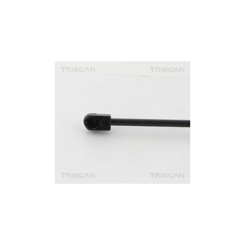 Vérin de hayon, de coffre TRISCAN 8710 16262 - Visuel 1