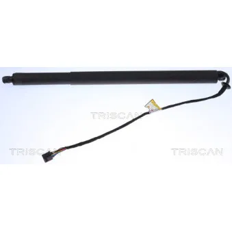 Vérin de hayon, de coffre TRISCAN OEM LR074798