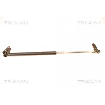 Vérin de hayon, de coffre TRISCAN [8710 18201]