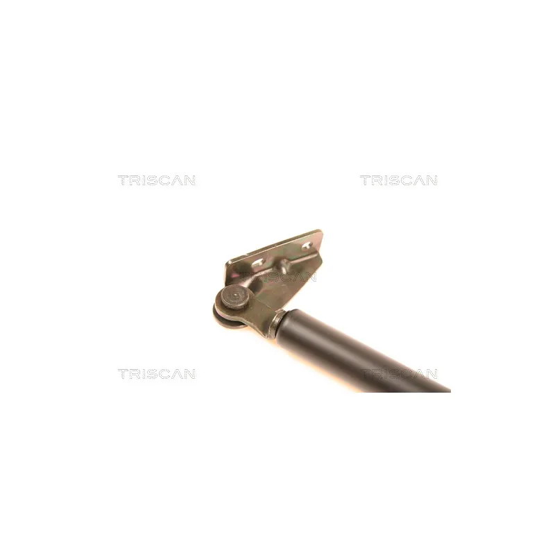 Vérin de hayon, de coffre TRISCAN 8710 18201 - Visuel 1