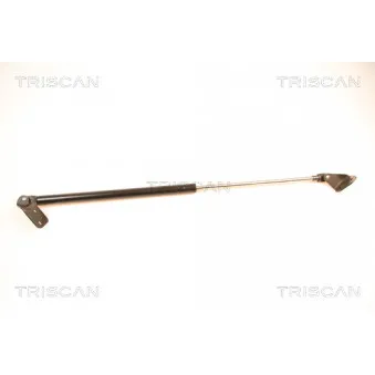 TRISCAN 8710 18204 - Vérin de hayon, de coffre