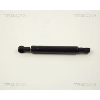 Amortisseur tringlerie, injection TRISCAN [8710 2307]