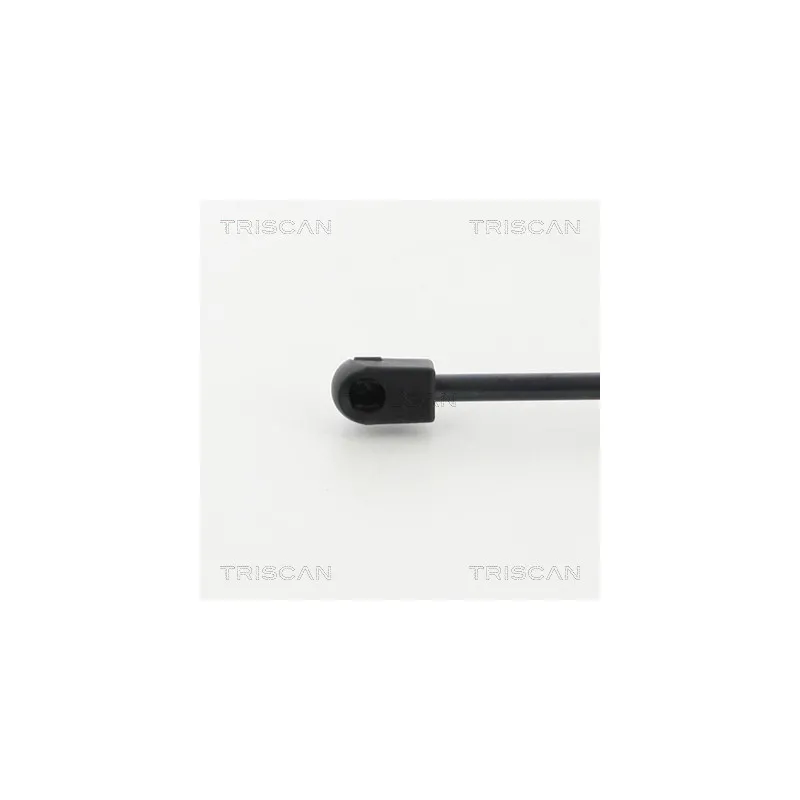 Vérin de hayon, de coffre TRISCAN 8710 27223 - Visuel 1