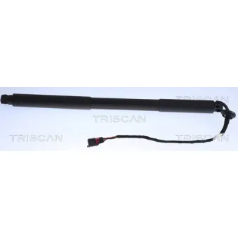 TRISCAN 8710 27301 - Vérin de hayon, de coffre