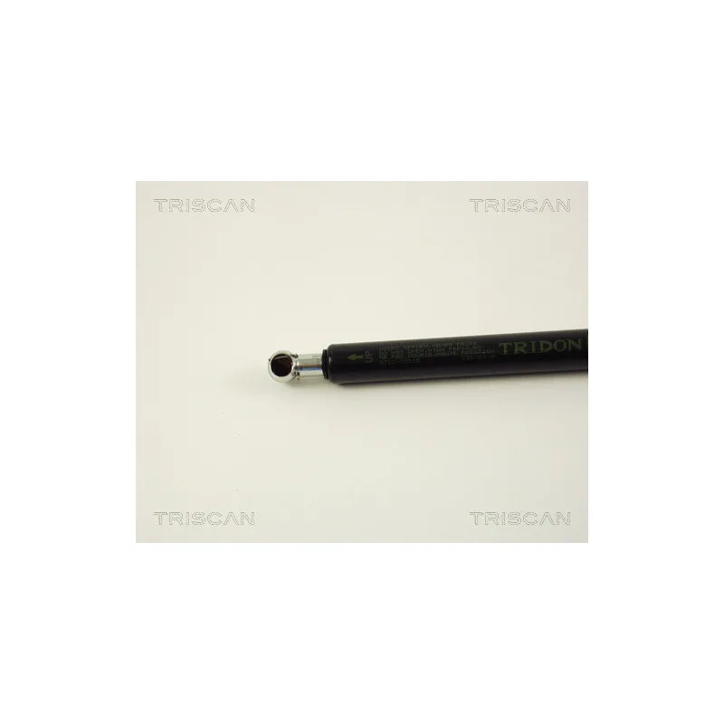 Vérin de hayon, de coffre TRISCAN 8710 29215 - Visuel 1