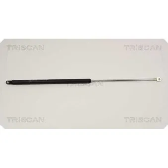 TRISCAN 8710 3804 - Vérin de hayon, de coffre