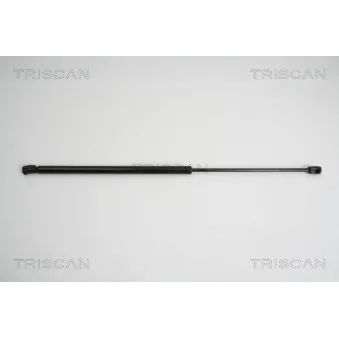 TRISCAN 8710 38223 - Vérin, vitre arrière