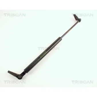 TRISCAN 8710 42220 - Vérin de hayon, de coffre