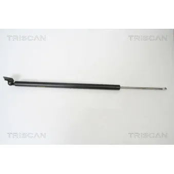 TRISCAN 8710 43213 - Vérin de hayon, de coffre