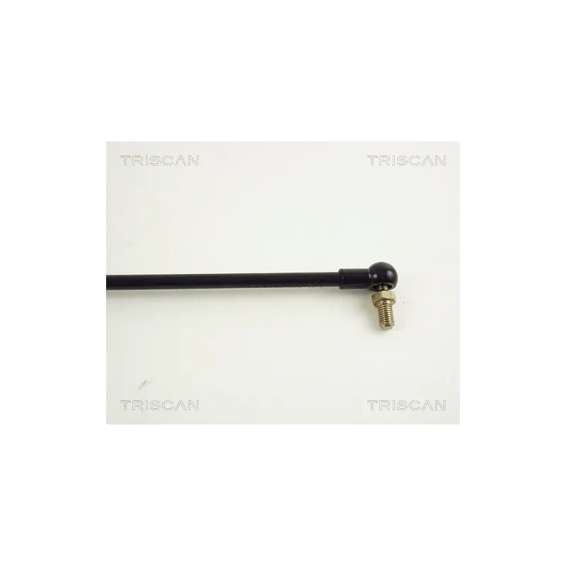 Vérin de hayon, de coffre TRISCAN 8710 50205 - Visuel 2