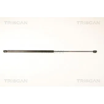 TRISCAN 8710 67101 - Vérin, capot-moteur