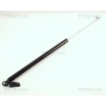 TRISCAN 8710 68204 - Vérin de hayon, de coffre