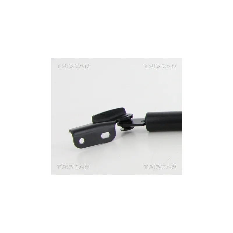 Vérin de hayon, de coffre TRISCAN 8710 68223 - Visuel 1