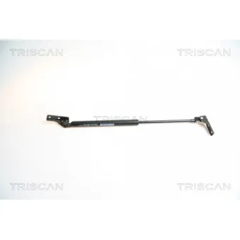 TRISCAN 8710 69209 - Vérin de hayon, de coffre