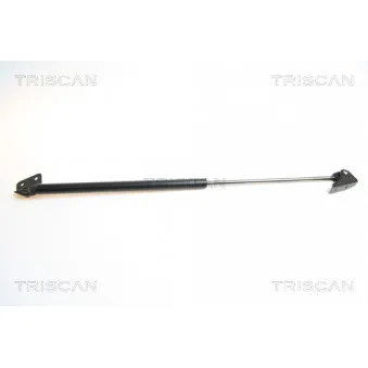 Vérin de hayon, de coffre TRISCAN [8710 69210]