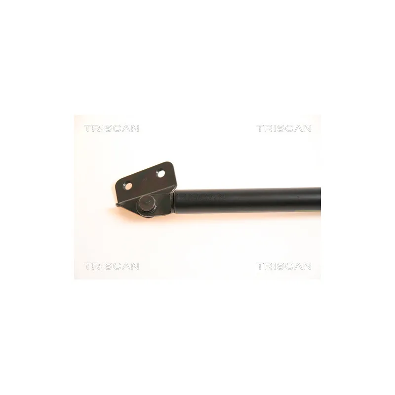 Vérin de hayon, de coffre TRISCAN 8710 69210 - Visuel 1