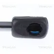 TRISCAN 8710 81101 - Vérin, capot-moteur