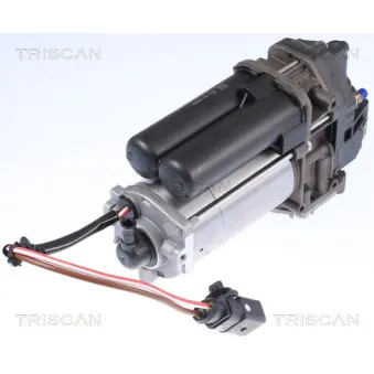 TRISCAN 8725 81101 - Compresseur, système d'air comprimé