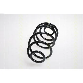 TRISCAN 8750 24190 - Ressort de suspension