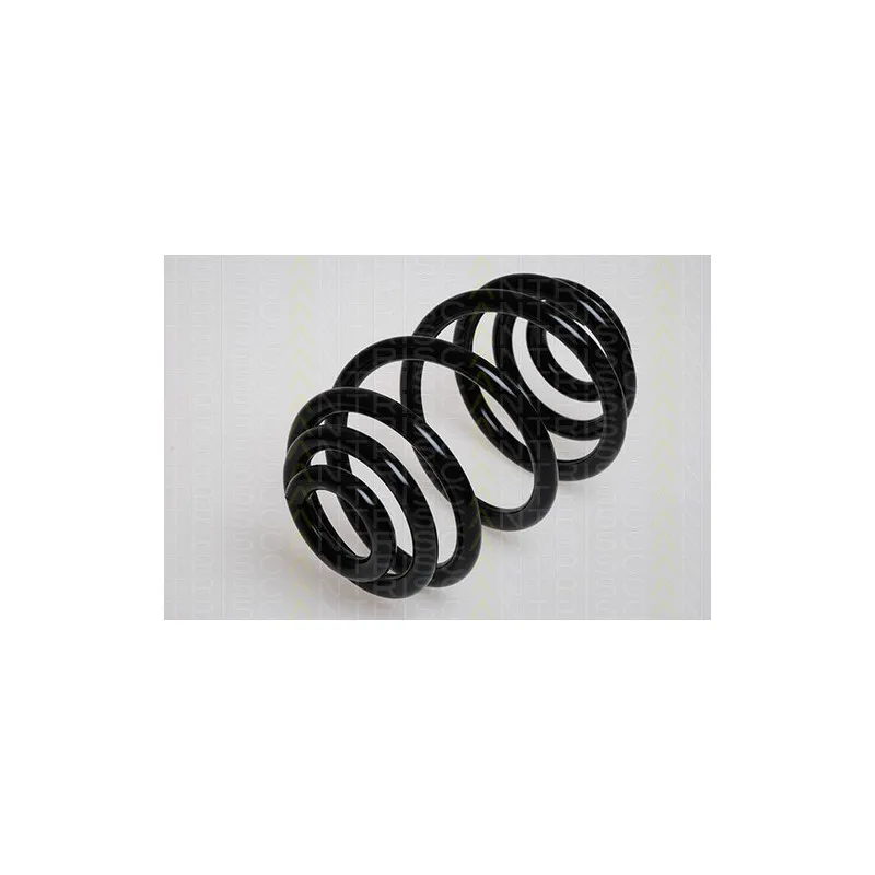 Ressort de suspension TRISCAN 8750 2490 - Visuel 1