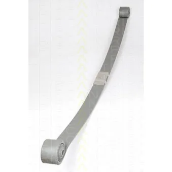 TRISCAN 8765 16034 - Groupe de ressorts